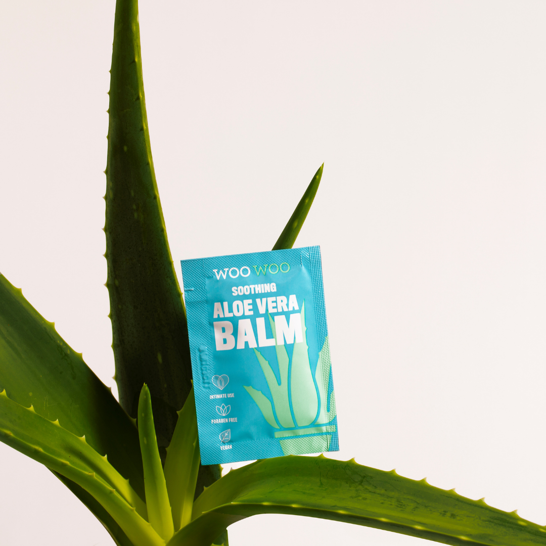 Packet of soothing aloe vera balm balanced on a plant with white background
